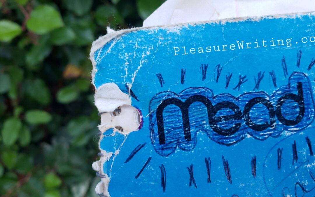 Flashback: Blue Spiral Mead & Red Erasermate
